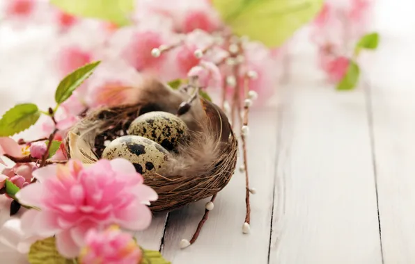 Картинка цветы, ветки, праздник, яйца, весна, Пасха, гнездо, цветение