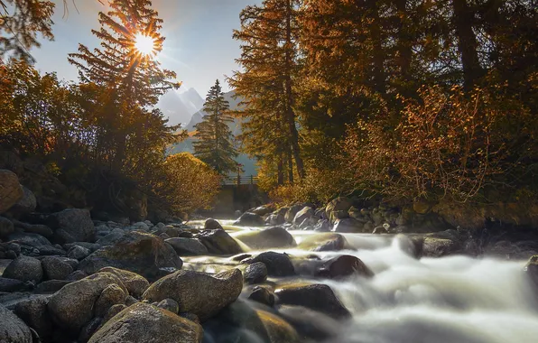 Осень, деревья, природа, река