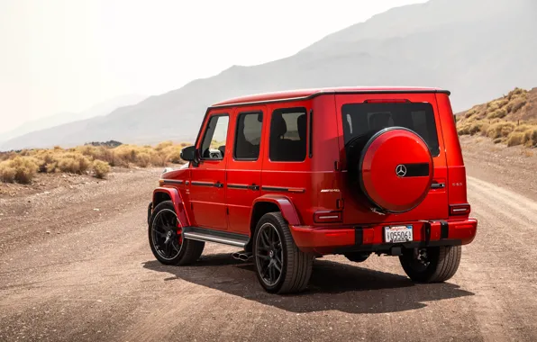 Mercedes-Benz, вид сзади, AMG, 2018, G-Class, Gelandewagen, G63