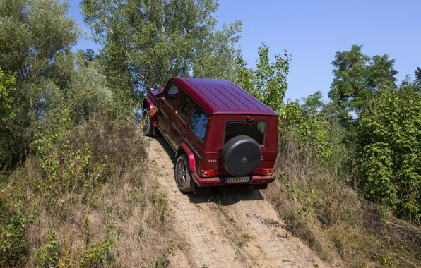 Mercedes-Benz, внедорожник, подъём, G500, G-Class, 2015, G 500, V8 Biturbo