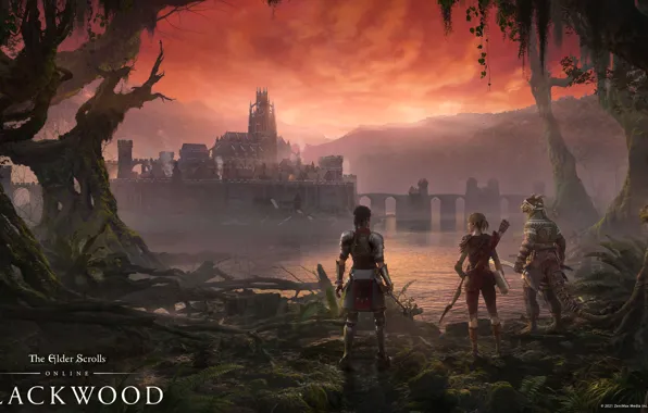 The Elder Scrolls Online, tes online, THE ELDER SCROLLS ONLINE: BLACKWOOD, ADVENTURE AWAITS