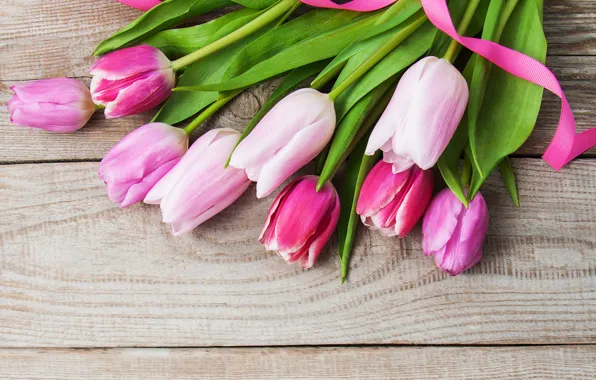 Картинка тюльпаны, розовые, pink, flowers, tulips