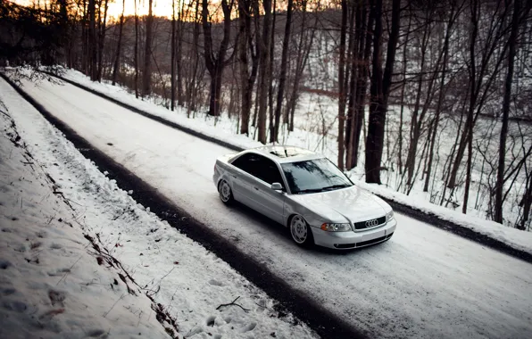 Лес, снег, Audi, ауди, stance, догога