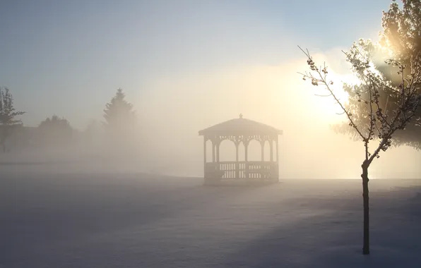 Картинка зима, снег, деревья, парк, мороз, беседка