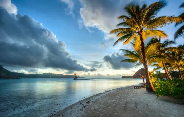 Пляж, тропики, пальмы, океан, Бора-Бора, Pacific Ocean, Bora Bora, French Polynesia