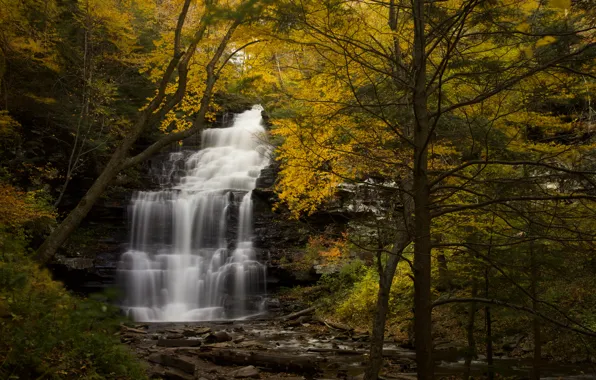 Осень, лес, деревья, водопад, речка, Пенсильвания, каскад, Pennsylvania