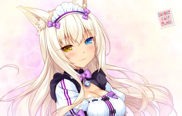 Boobs, breast, anime, tits, chest, titty, busty, boobies