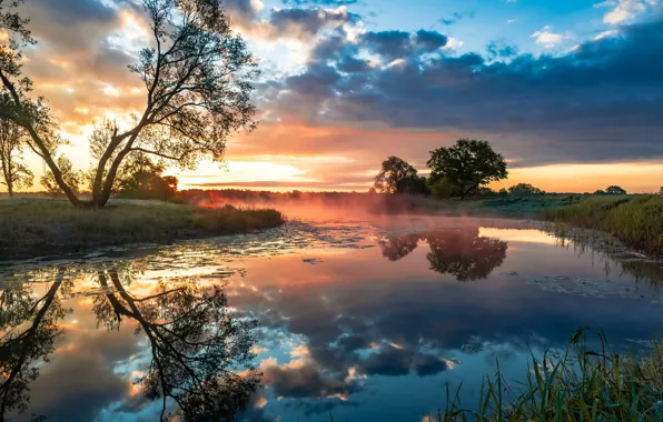 Природа, река, утро