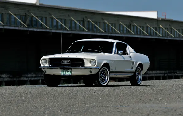Mustang, Ford, мустанг, форд, 1967, Fastback