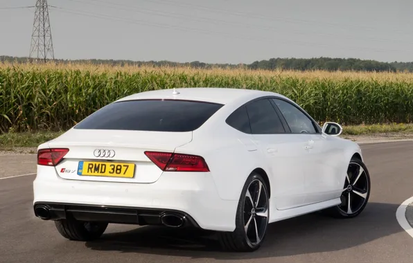 Дорога, поле, car, Audi, зад, white, rs7
