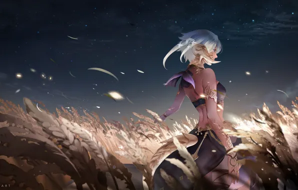 Девушка, Поле, Игра, Girl, Art, Night, Колоски, Illustration