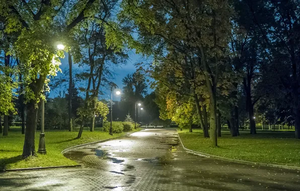 Картинка осень, огни, парк, вечер, Санкт-Петербург