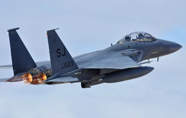 F-15E, Strike Eagle, двухместный истребитель