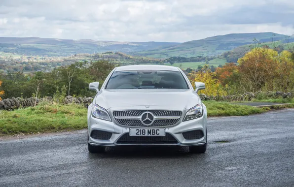 CLS, Mercedes, Benz, 350