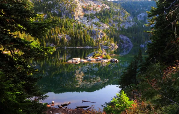 Картинка вода, природа, озеро, фото, США, Tuck