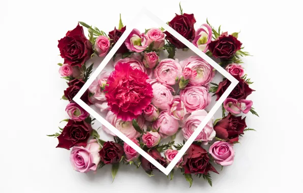 Картинка цветы, розы, red, розовые, pink, flowers, пионы, roses