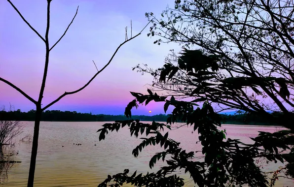 Sun, Water, Sunrise, Dawn, Morning, Lake, Trees, Reflection