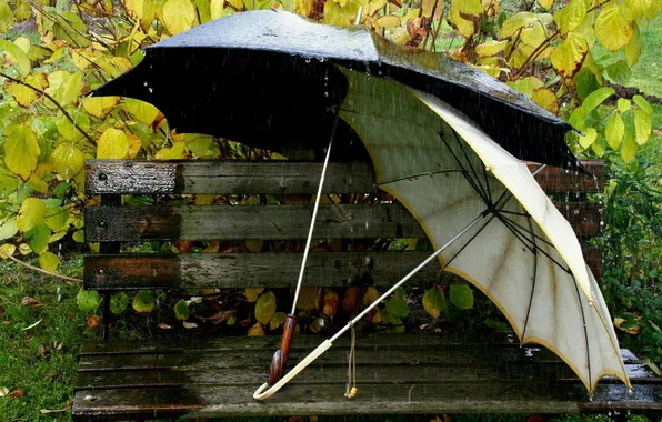 Вода, скамейка, дождь, зонт, листя
