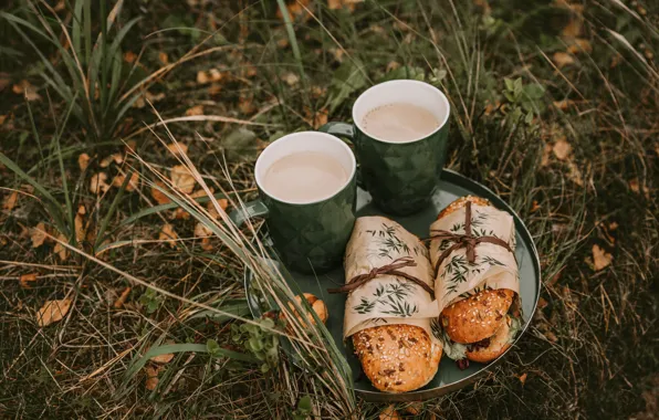 Nature, food, coffee, picnic, rest, sandwich