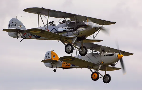 Картинка самолёты, Nimrod, Hawker Demon