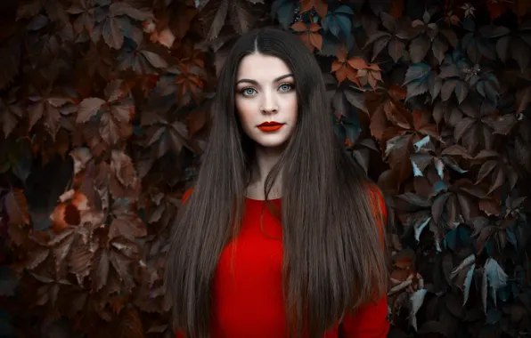 Взгляд, листья, поза, фон, модель, портрет, макияж, платье