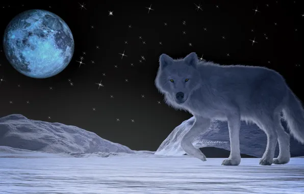 Картинка ночь, луна, волк