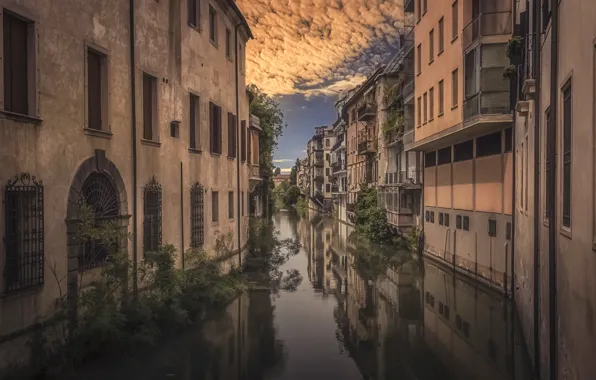 Дома, канал, Italy, Padova