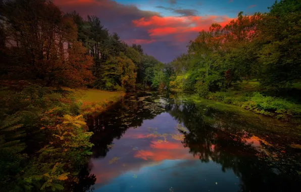 Картинка трава, деревья, пейзаж, закат, природа, пруд, парк, США
