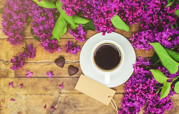 Картинка цветы, flowers, сирень, romantic, coffee cup, lilac, чашка кофе
