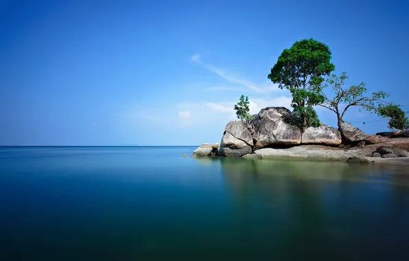 Картинка море, деревья, камни, остров