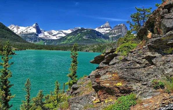 Деревья, горы, озеро, Glacier National Park, Saint Mary Lake, Montana