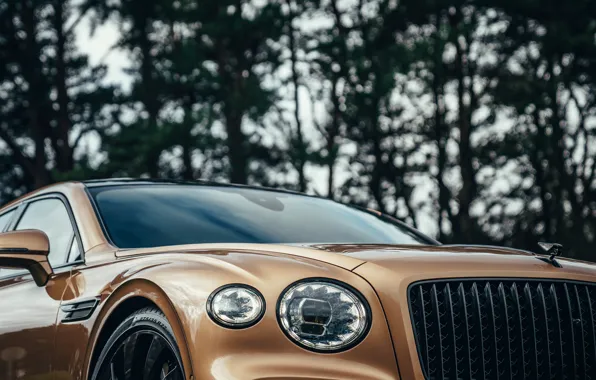 Картинка Bentley, решётка, кузов, Flying Spur, 2020, V8, 2021, Flying Spur V8