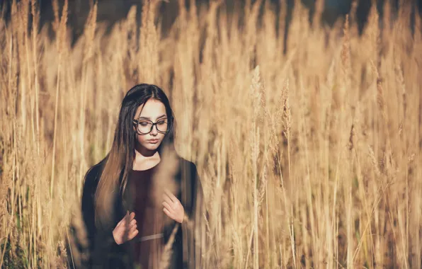 Girl, Field, Glasses