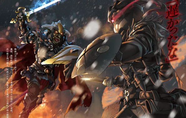 Рыцарь, гоблин, Goblin Slayer, Убийца гоблинов