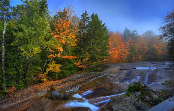 Картинка осень, лес, небо, деревья, река, камни, скалы