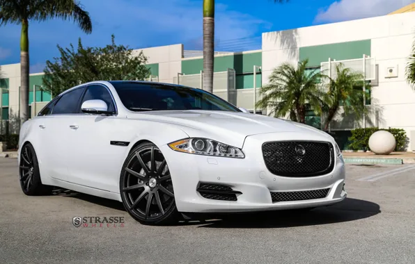 Jaguar, Edition, XJL, Portfolio