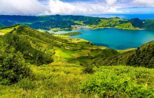 Зелень, Небо, Панорама, Простор