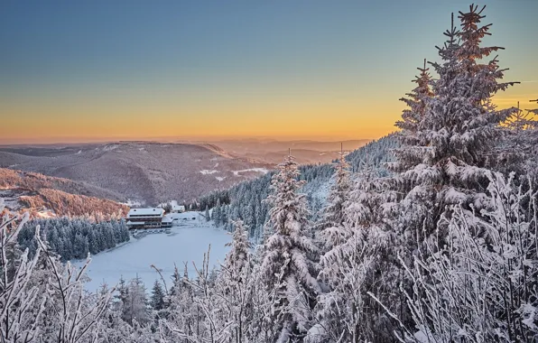 Картинка зима, лес, утро