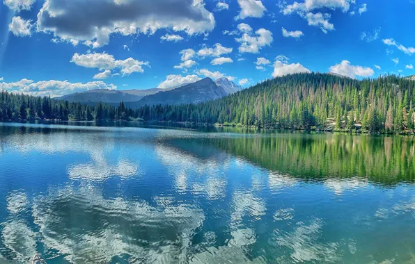 Картинка лес, горы, озеро, отражение, Юта, Utah, Скалистые горы, Rocky Mountains