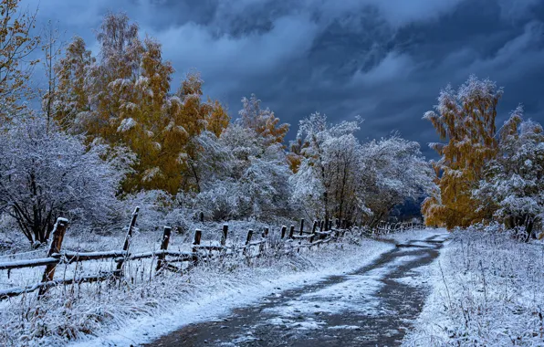 Дорога, осень, снег, деревья, забор, Казахстан, Евгений Дроботенко, Рудный Алтай