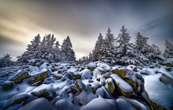 Картинка зима, снег, деревья, природа, камни, ели, Robert Didierjean