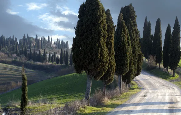 Картинка пейзаж, Italy, Tuscany, Silent guardians