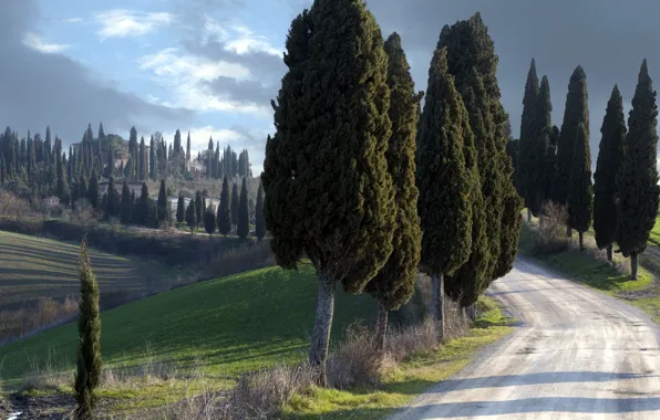 Пейзаж, Italy, Tuscany, Silent guardians