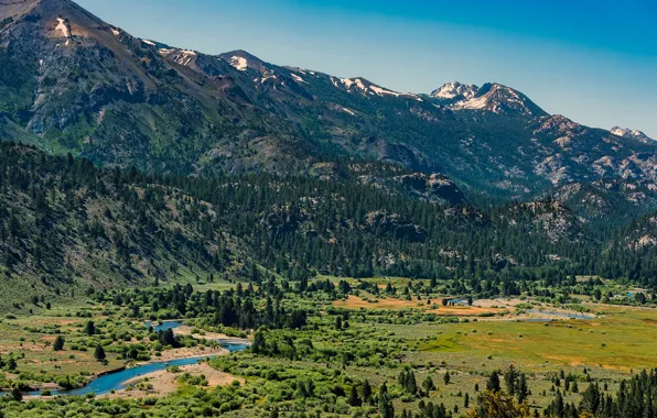 Лес, горы, долина, Калифорния, США, речка, Сонора, Sonora
