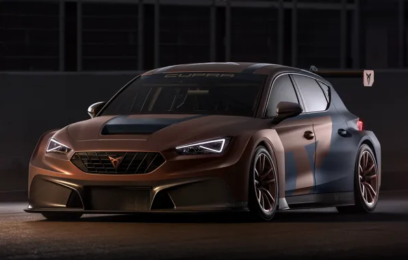Экстерьер, гоночный автомобиль, Competition, Seat, Cupra Leon