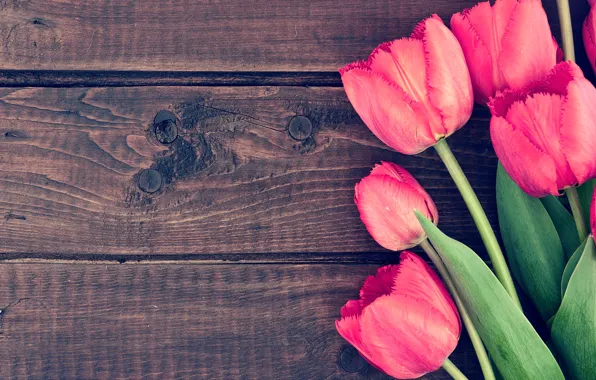 Цветы, букет, тюльпаны, wood, pink, romantic, tulips, spring