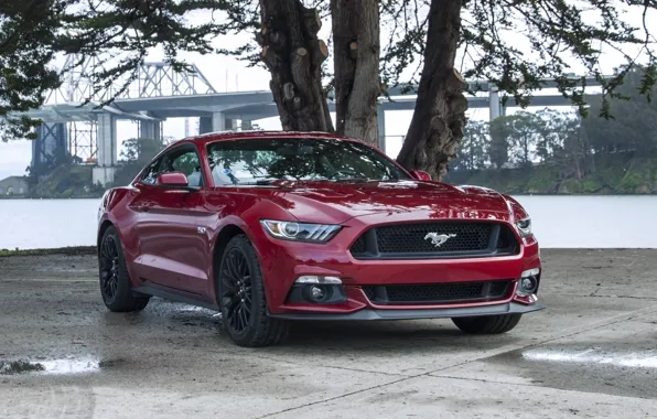 Mustang, red, ford, 5.0, brige