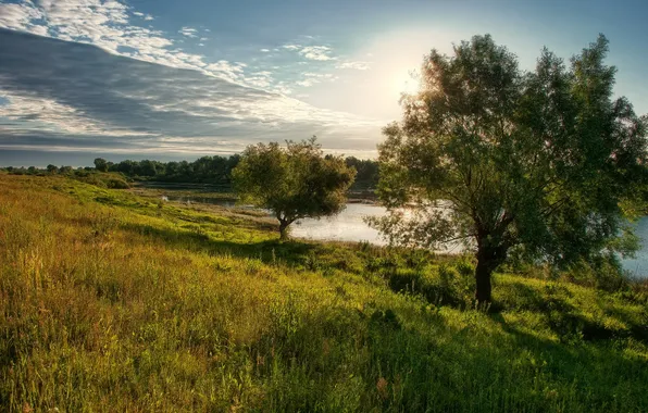 Картинка лето, деревья, река