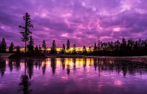 Небо, деревья, пейзаж, закат
