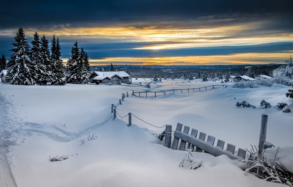 Зима, лес, снег, забор, Норвегия, Лиллехаммер, Lillehammer